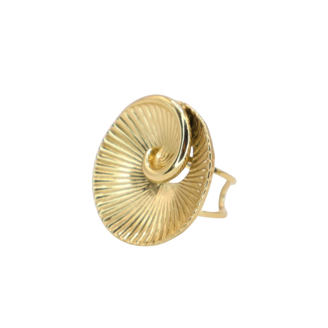 Anillo Caracola