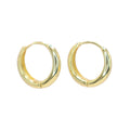Pendientes Aro Circle