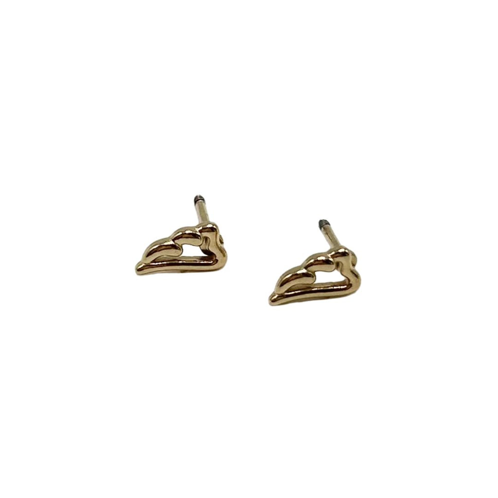 Pendientes Ala