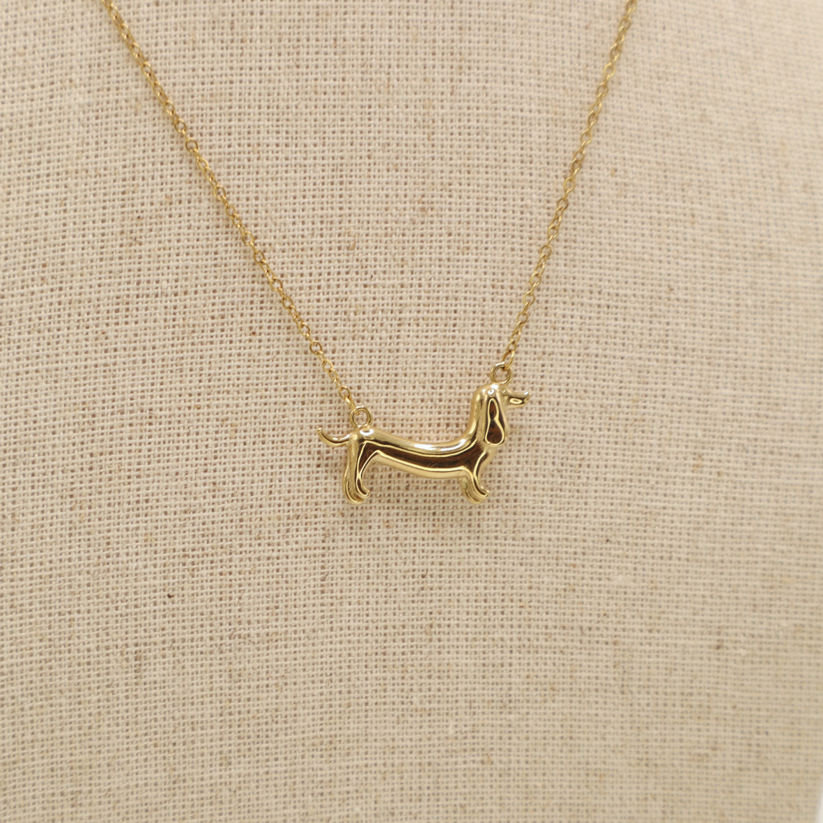 Collar Perro Salchicha