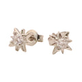 Pendientes Estrella Brillo