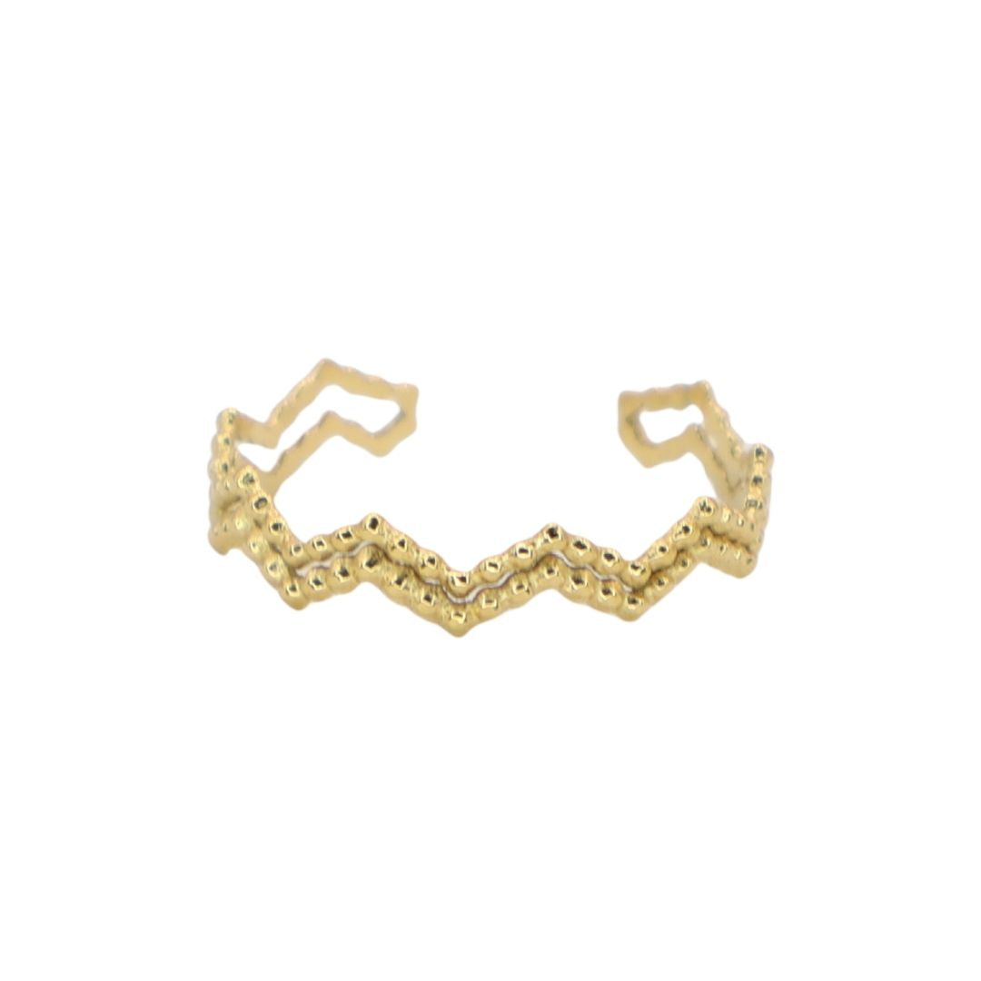Anillo Doble