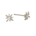 Pendientes Estrella Brillo