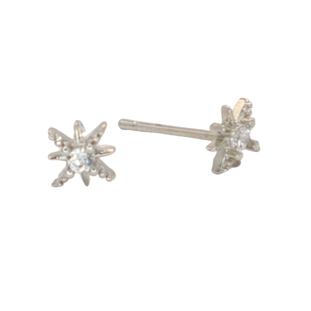 Pendientes Estrella Brillo
