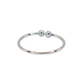 Anillo Line