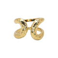Anillo Doble