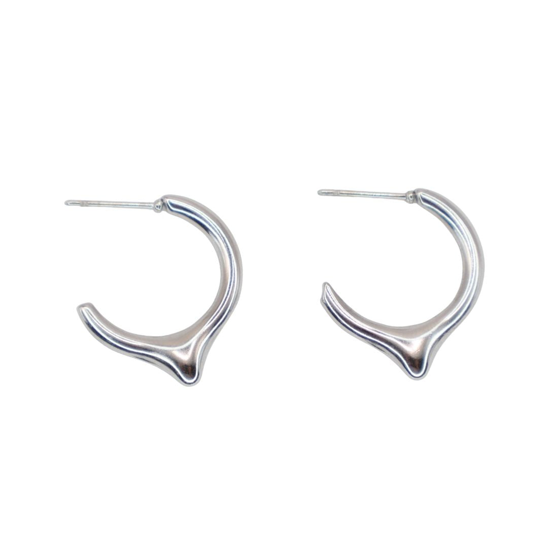 Pendientes Aro Pico