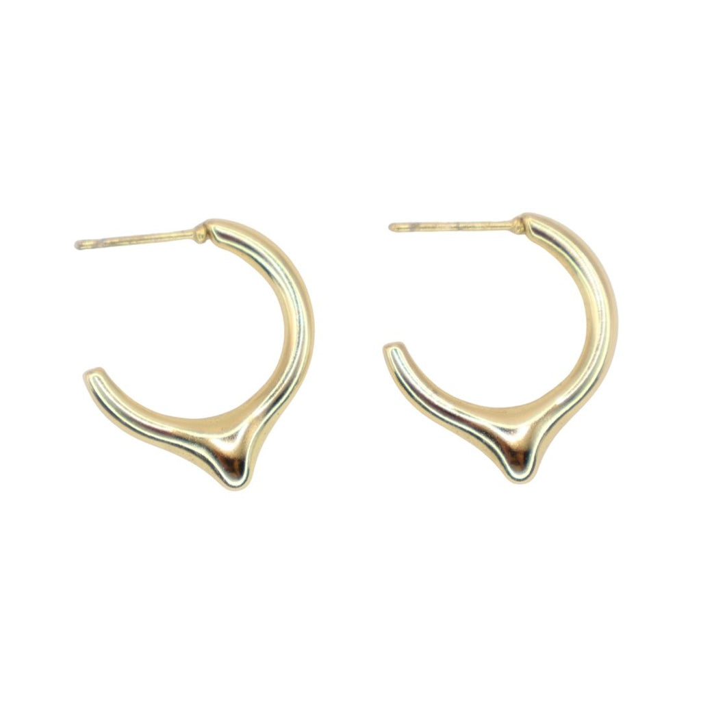 Pendientes Aro Pico