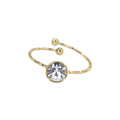 Anillo Brillo