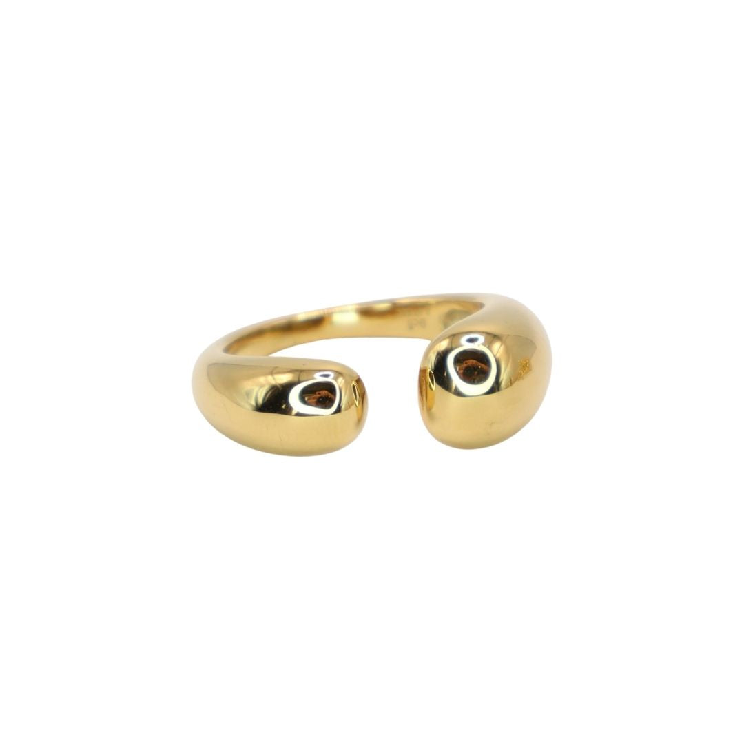 Anillo Noa